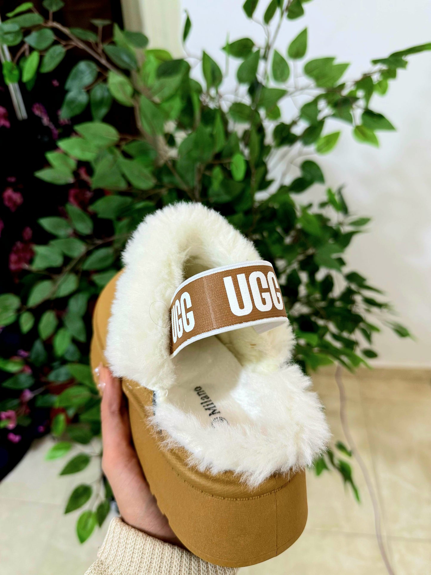Uggs